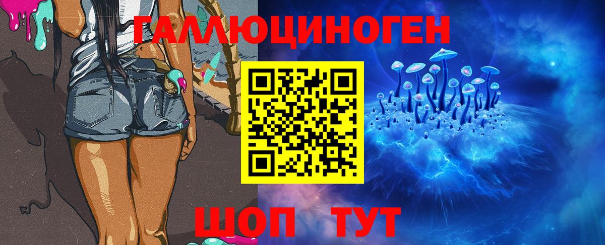 Псилоцибиновые грибы Psilocybine cubensis  Вход с VPN  Усинск 